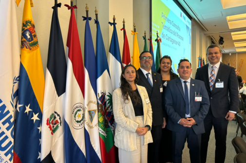 sitio web garlos (505 x 335 px) (1)