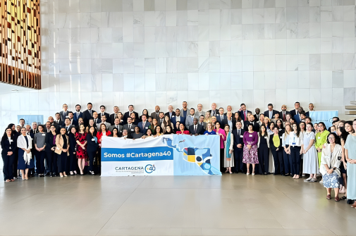 sitio web garlos (505 x 335 px) (3)