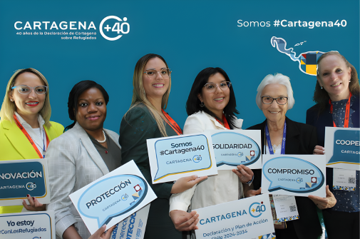 sitio web garlos (505 x 335 px) (8)